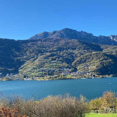 Lake Apartment Ischia Green Tenna Dış mekan fotoğraf