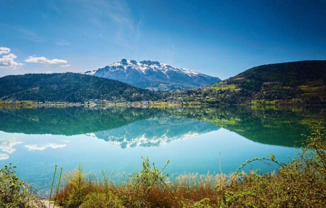 Lake Apartment Ischia Green Tenna Dış mekan fotoğraf